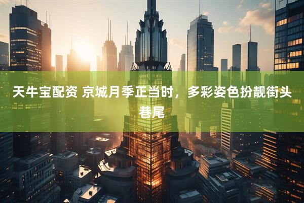 天牛宝配资 京城月季正当时，多彩姿色扮靓街头巷尾