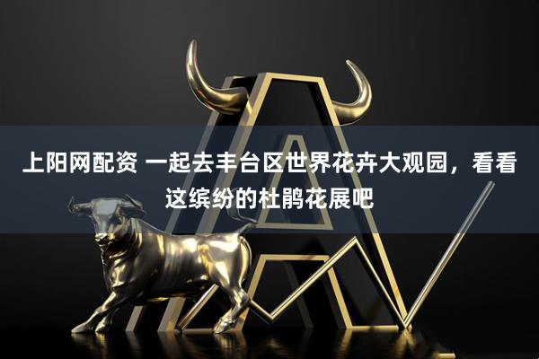 上阳网配资 一起去丰台区世界花卉大观园，看看这缤纷的杜鹃花展吧