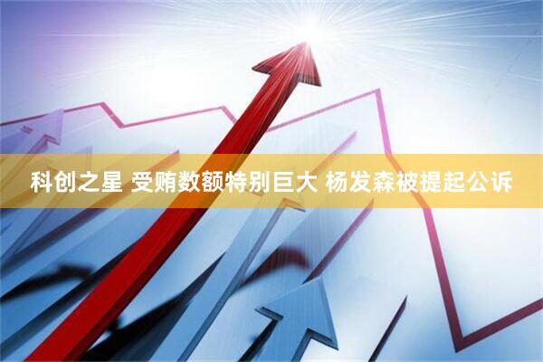 科创之星 受贿数额特别巨大 杨发森被提起公诉