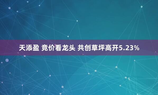 天添盈 竞价看龙头 共创草坪高开5.23%
