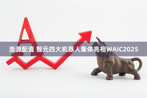 浩源配资 智元四大机器人集体亮相WAIC2025