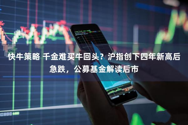 快牛策略 千金难买牛回头？沪指创下四年新高后急跌，公募基金解读后市
