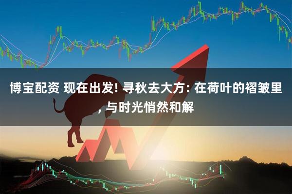 博宝配资 现在出发! 寻秋去大方: 在荷叶的褶皱里, 与时光悄然和解
