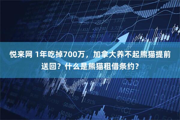 悦来网 1年吃掉700万，加拿大养不起熊猫提前送回？什么是熊猫租借条约？