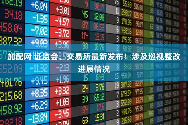 加配网 证监会、交易所最新发布！涉及巡视整改进展情况