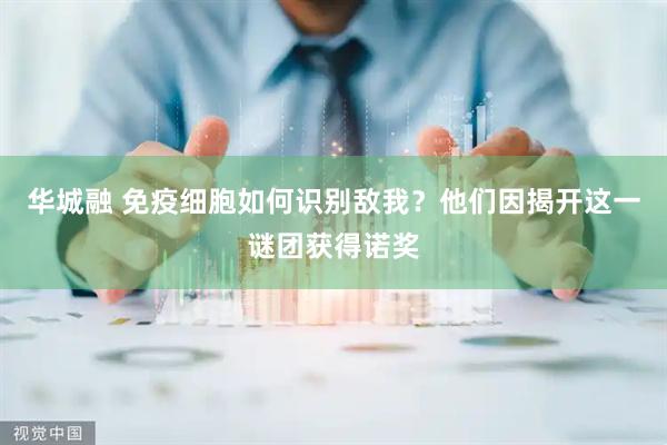 华城融 免疫细胞如何识别敌我?他们因揭开这一谜团获得诺奖