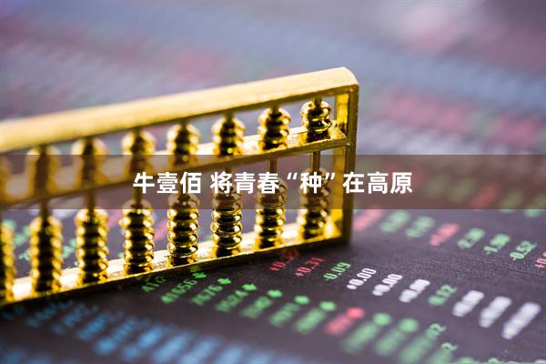 牛壹佰 将青春“种”在高原