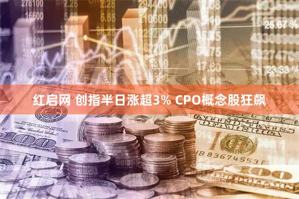 红启网 创指半日涨超3% CPO概念股狂飙