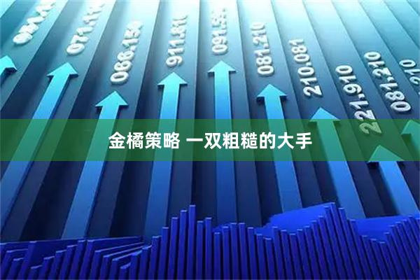 金橘策略 一双粗糙的大手